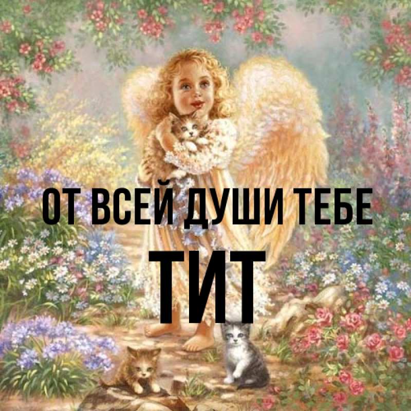 Картинка От всей души тебе, Тит