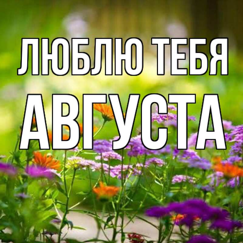 Картинка Люблю тебя, Августа