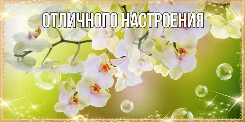 Картинка Люблю тебя, Габриэлла