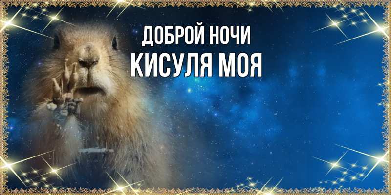 Картинка Доброй ночи, Кисуля моя