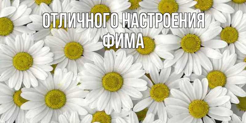 Картинка Отличного настроения, Фима