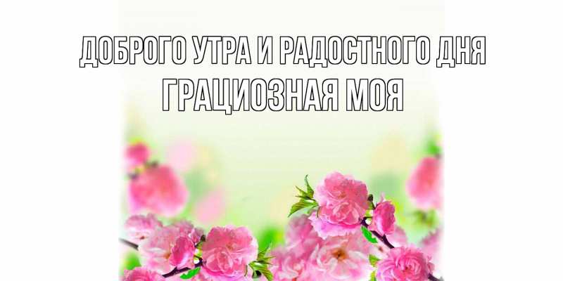 Картинка Доброго утра и радостного дня, Грациозная моя