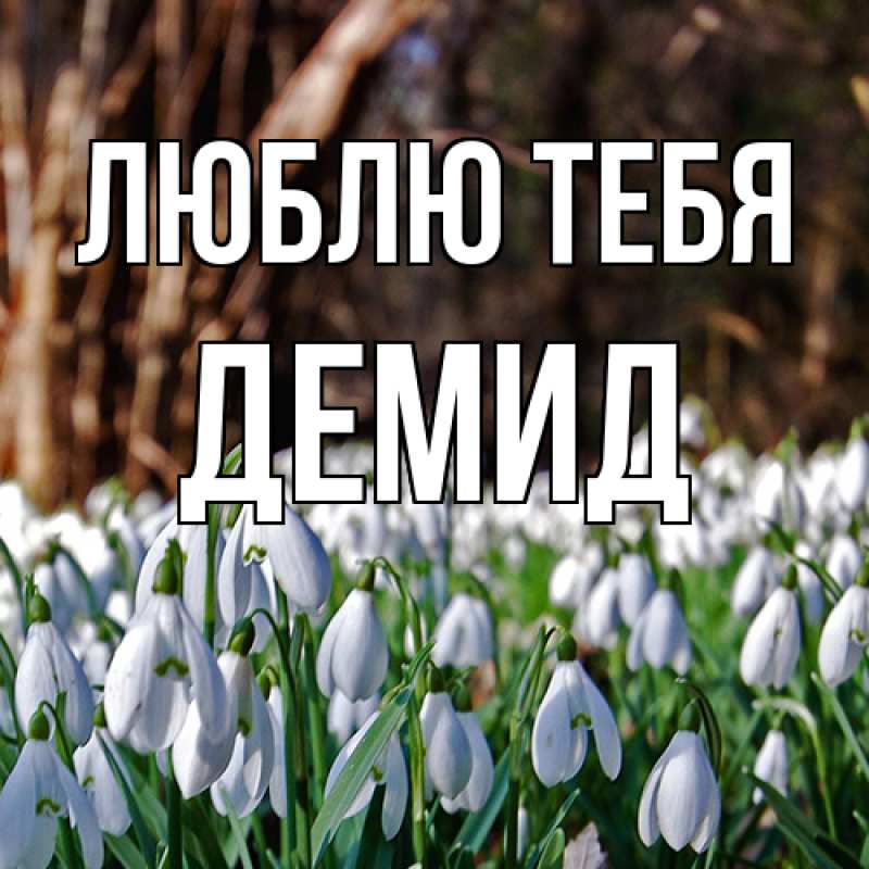 Картинка Люблю тебя, Демид