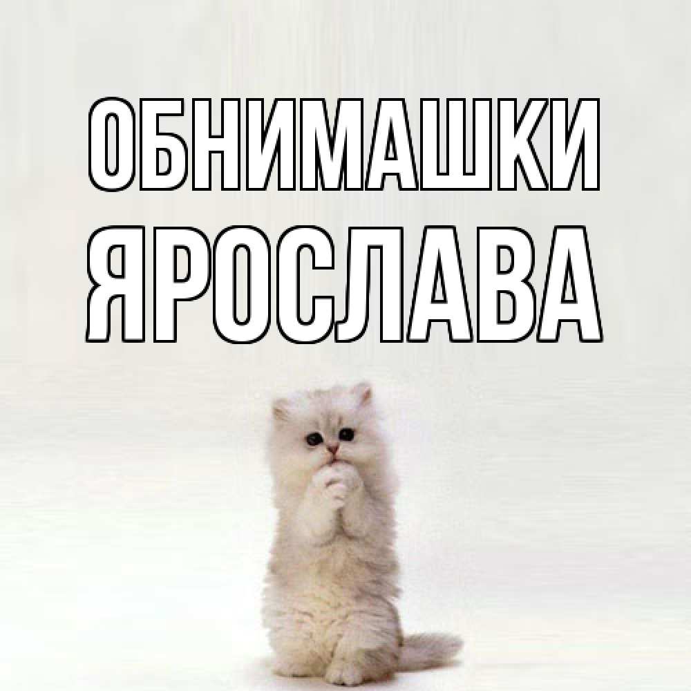 Открытка на каждый день с именем, Ярослава Обнимашки открытки с креативными подписями Прикольная открытка с пожеланием онлайн скачать бесплатно 