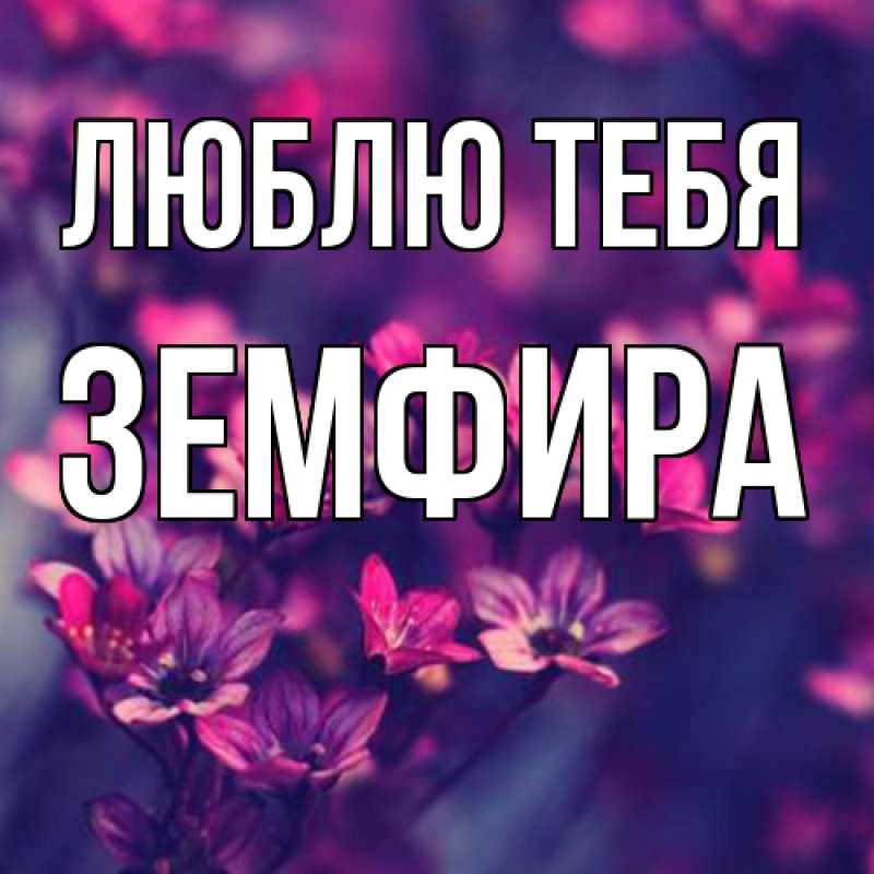 Картинка Люблю тебя, Земфира