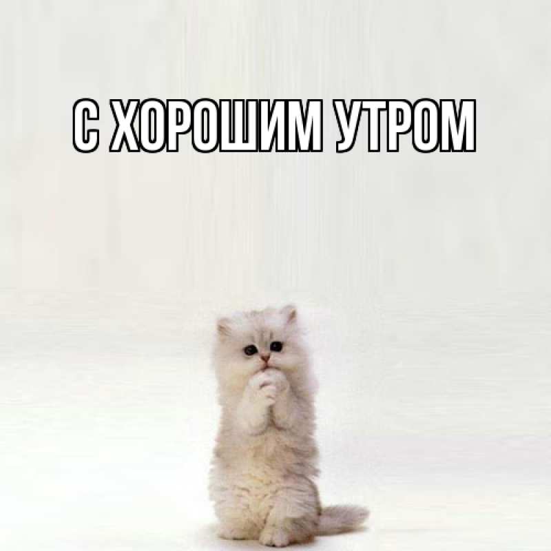Картинка Обнимашки, Лейла