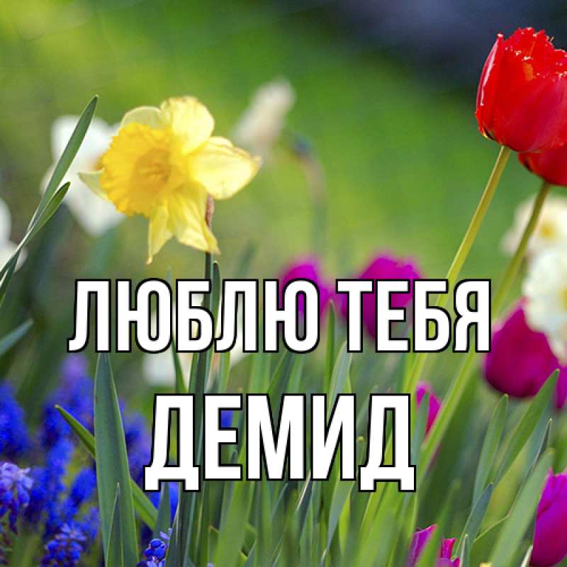 Картинка Люблю тебя, Демид