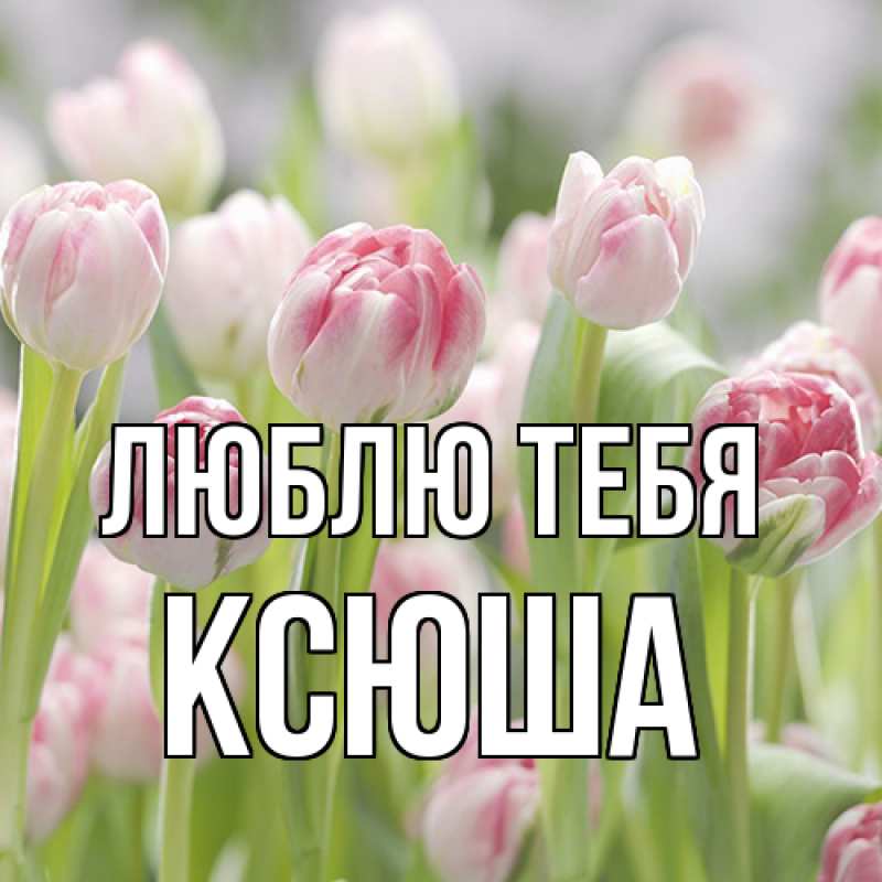 Картинка Люблю тебя, Ксюша