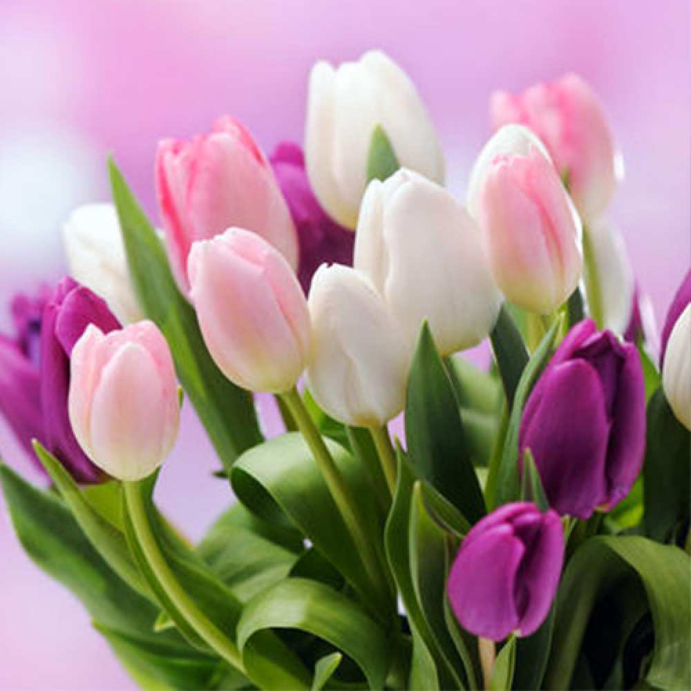 Открытка на каждый день с именем, Франсуаза Люблю тебя весна март Прикольная открытка с пожеланием онлайн скачать бесплатно 