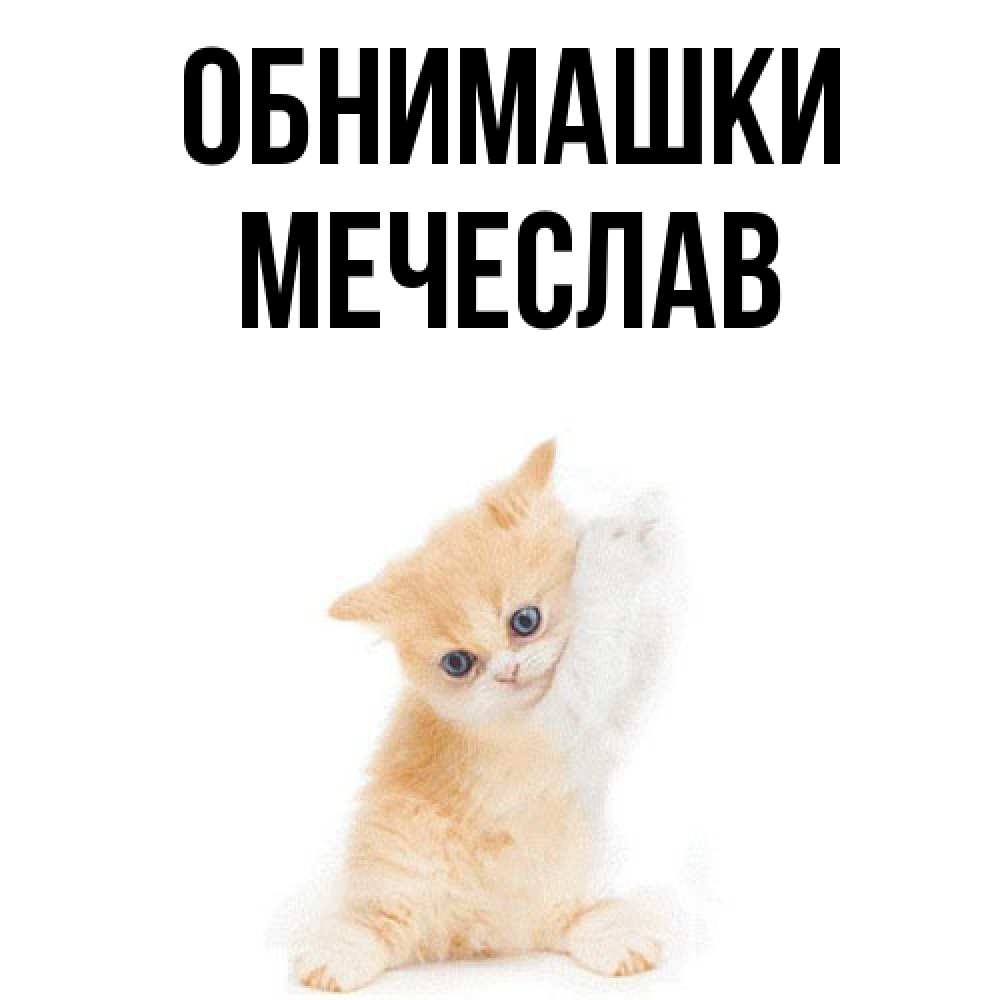 Открытка на каждый день с именем, Мечеслав Обнимашки я хочу очень скорее обнимаешек Прикольная открытка с пожеланием онлайн скачать бесплатно 