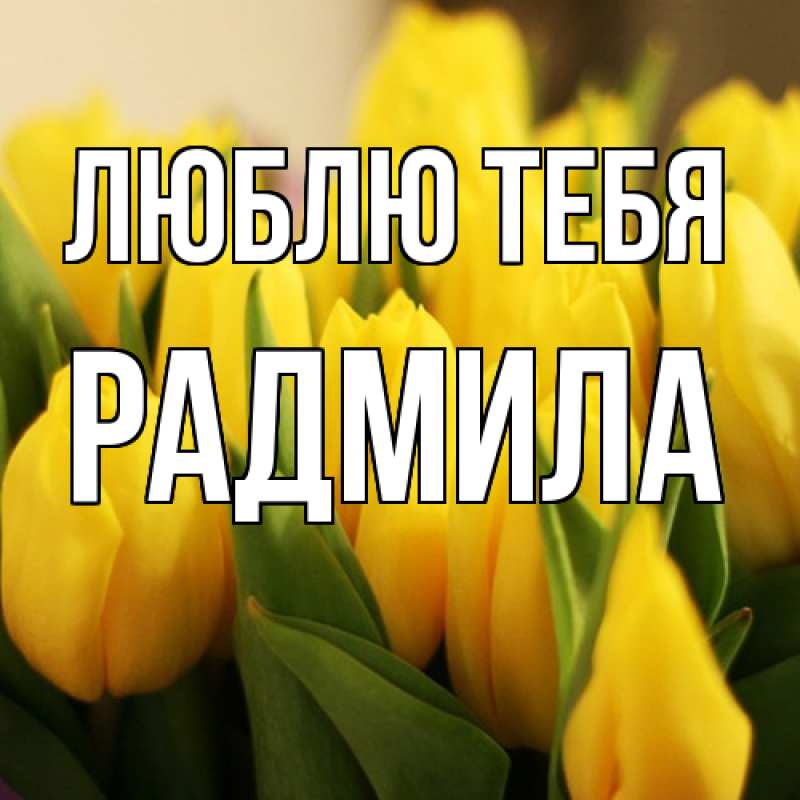 Картинка Люблю тебя, Радмила