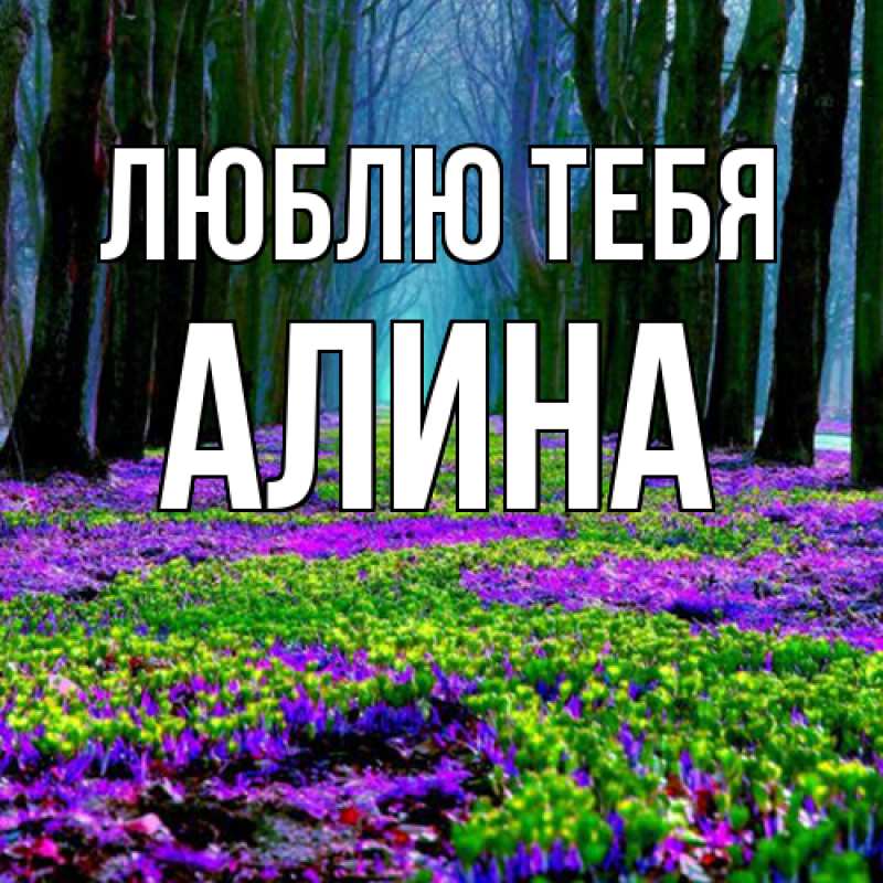 Картинка Люблю тебя, Алина