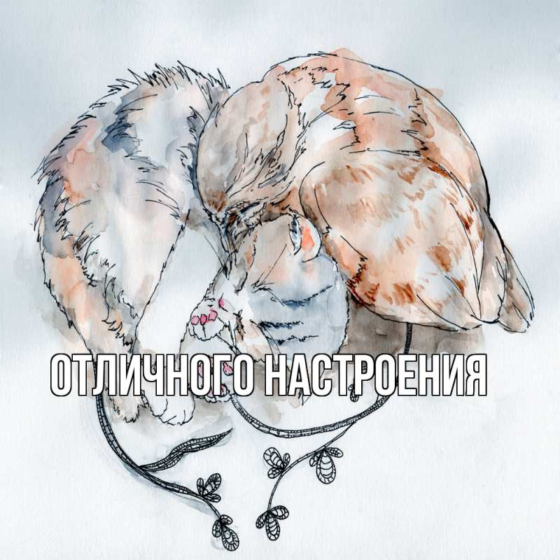 Картинка Обнимашки, Кисуля моя