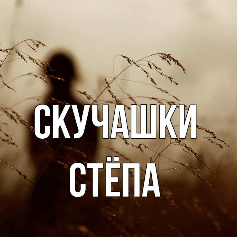 Картинка Скучашки, Стёпа