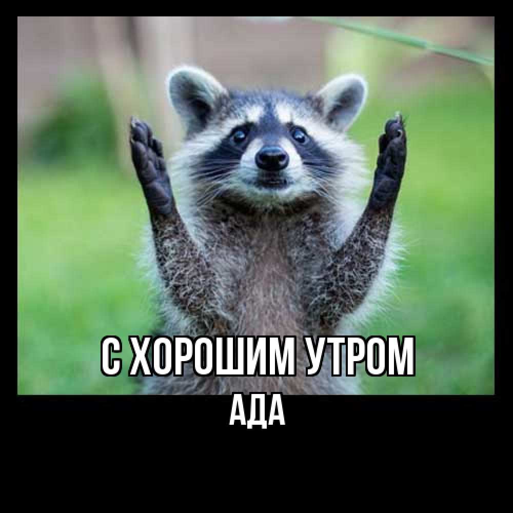 Открытка на каждый день с именем, Ада С хорошим утром хорошее настроение утречком Прикольная открытка с пожеланием онлайн скачать бесплатно 
