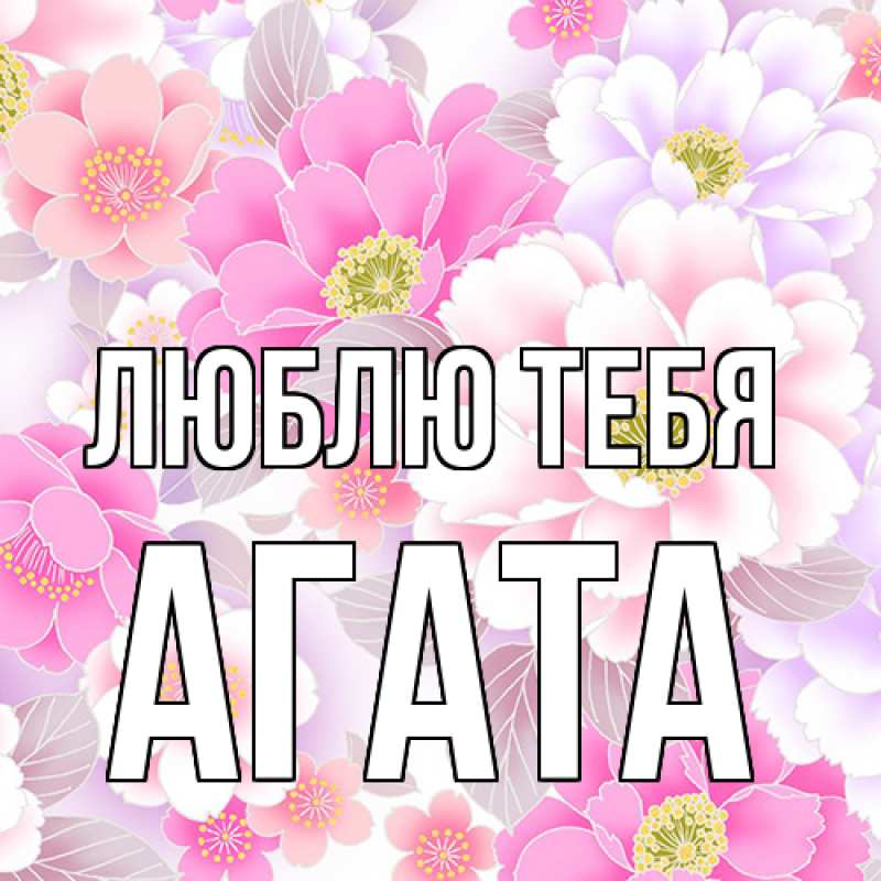 Картинка Люблю тебя, Агата