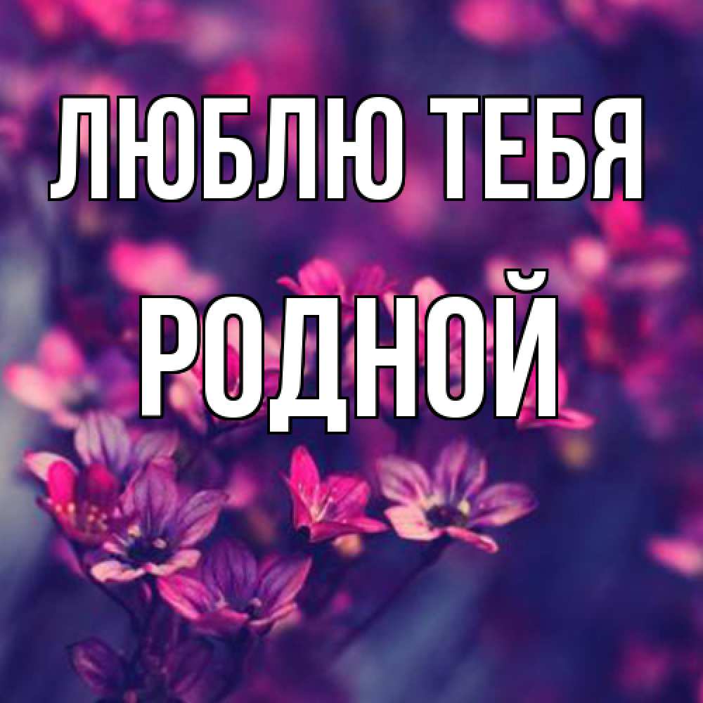 Открытка на каждый день с именем, Родной Люблю тебя небольшие цветы 1 Прикольная открытка с пожеланием онлайн скачать бесплатно 
