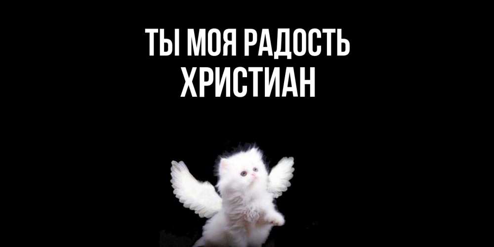 Открытка на каждый день с именем, Христиан Ты моя радость Кот ангел Прикольная открытка с пожеланием онлайн скачать бесплатно 