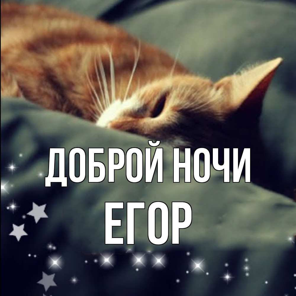 Открытка на каждый день с именем, Егор Доброй ночи кроватка Прикольная открытка с пожеланием онлайн скачать бесплатно 