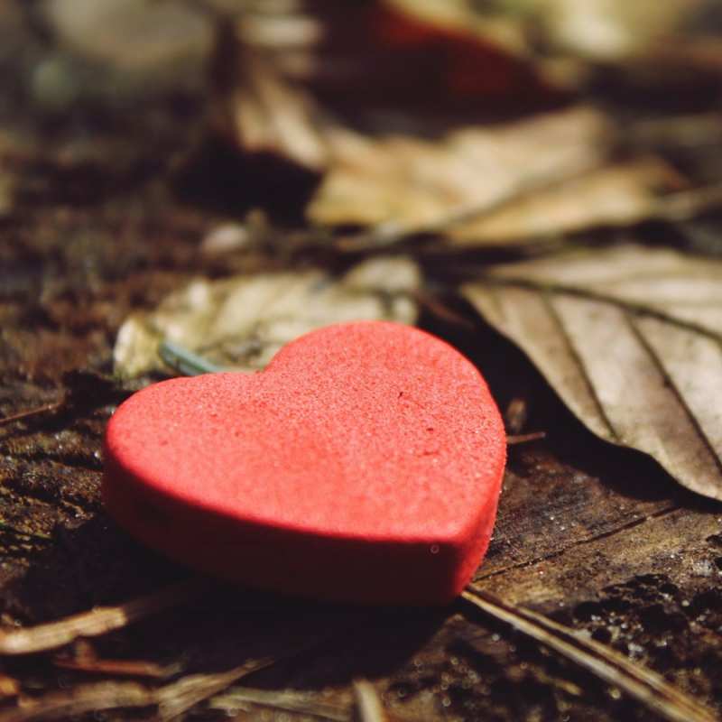 Картинка С любовью тебе, Коля