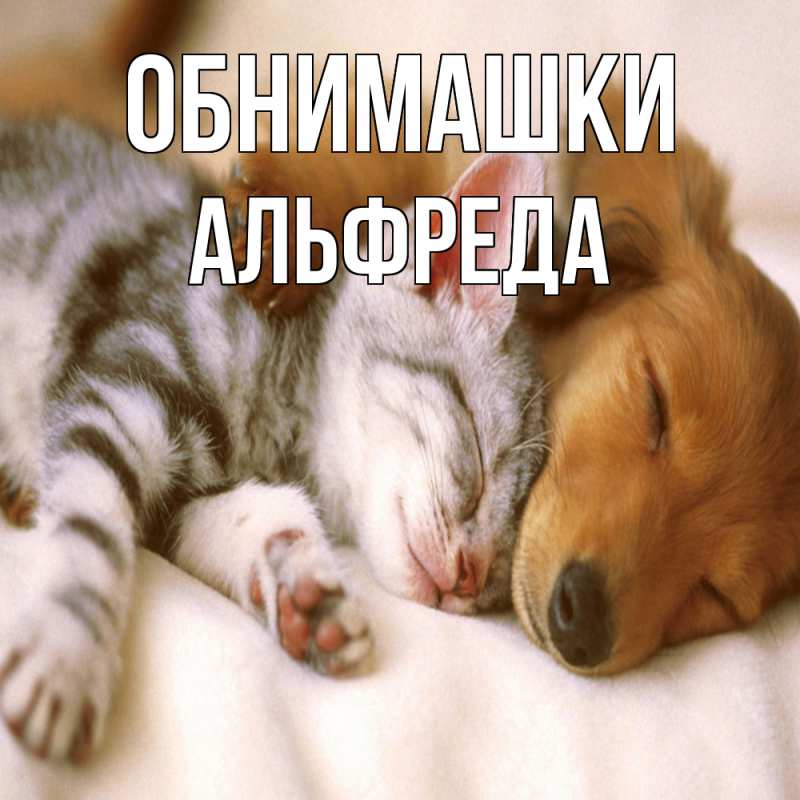Картинка Обнимашки, Альфреда