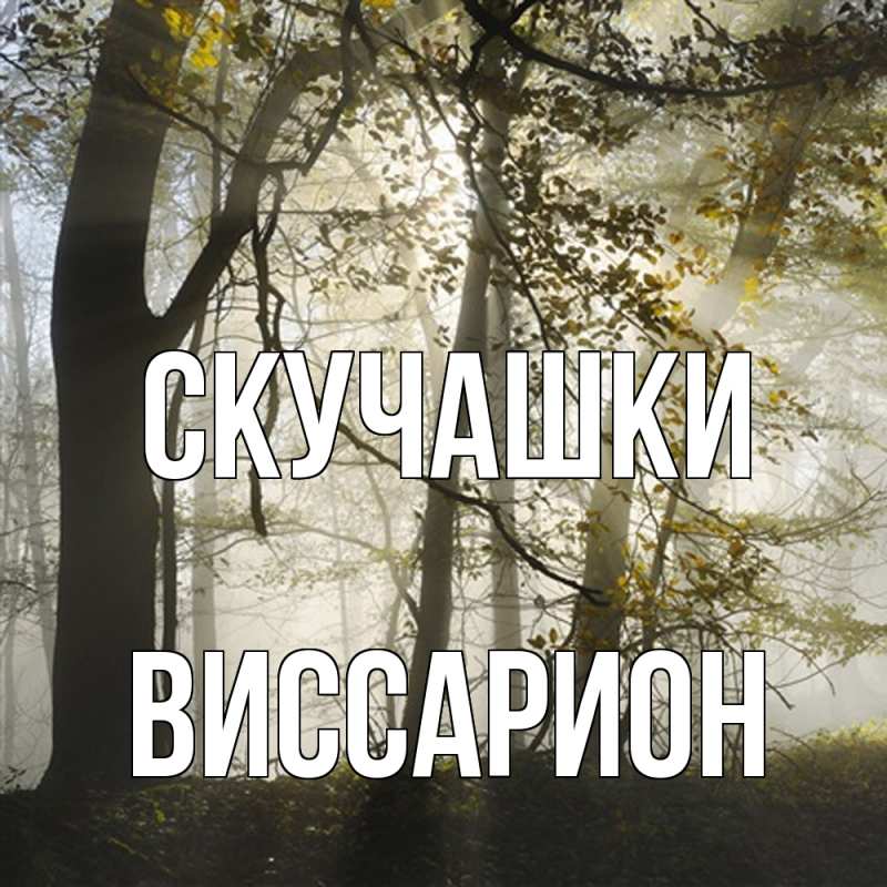 Картинка Скучашки, Виссарион