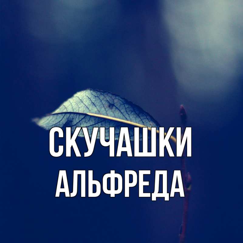 Картинка Скучашки, Альфреда