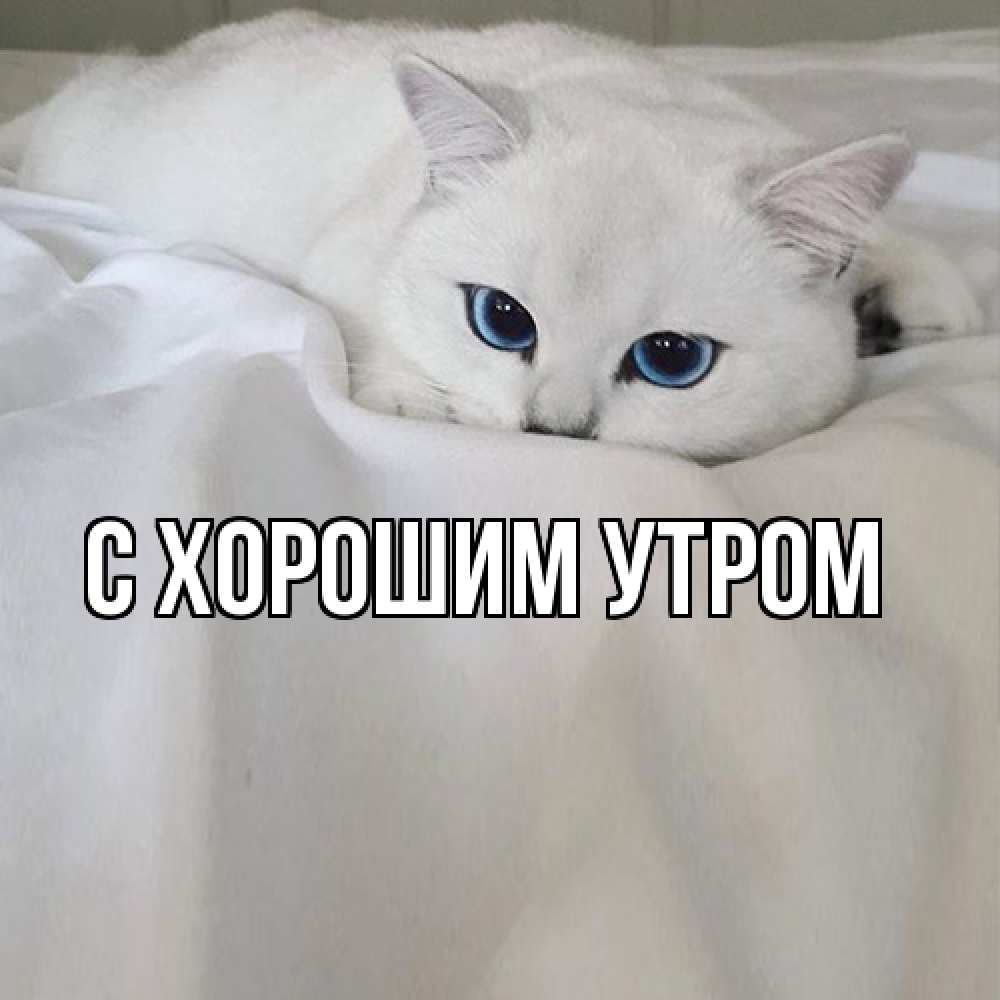 Открытка на каждый день с именем, Ануш Я жду тебя я очень по тебе скучаю и тоскую Прикольная открытка с пожеланием онлайн скачать бесплатно 