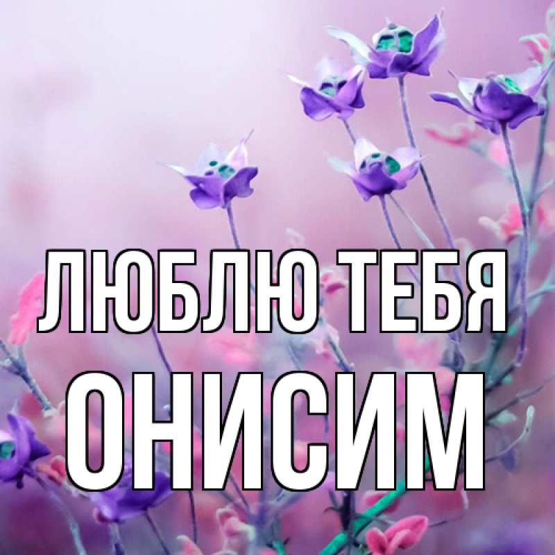Картинка Люблю тебя, Онисим