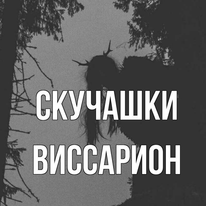 Картинка Скучашки, Виссарион