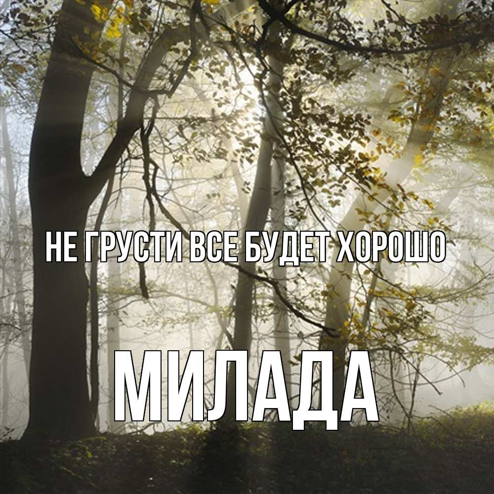 Открытка на каждый день с именем, Милада Не грусти все будет хорошо лес и свет Прикольная открытка с пожеланием онлайн скачать бесплатно 
