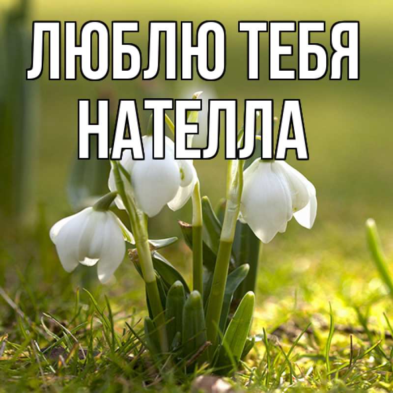 Картинка Люблю тебя, Нателла