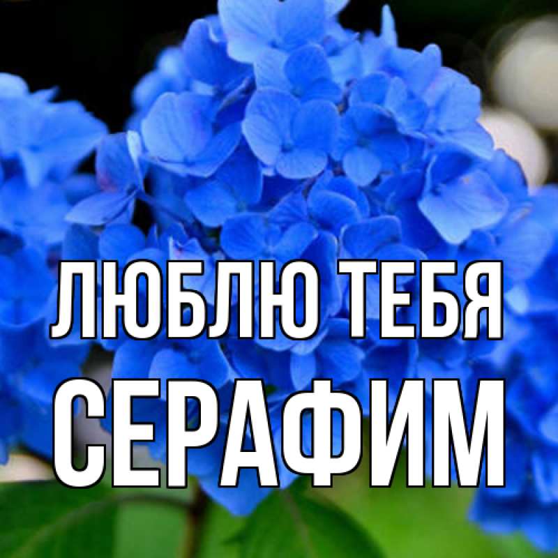 Открытка с именем, Серафим, Люблю тебя