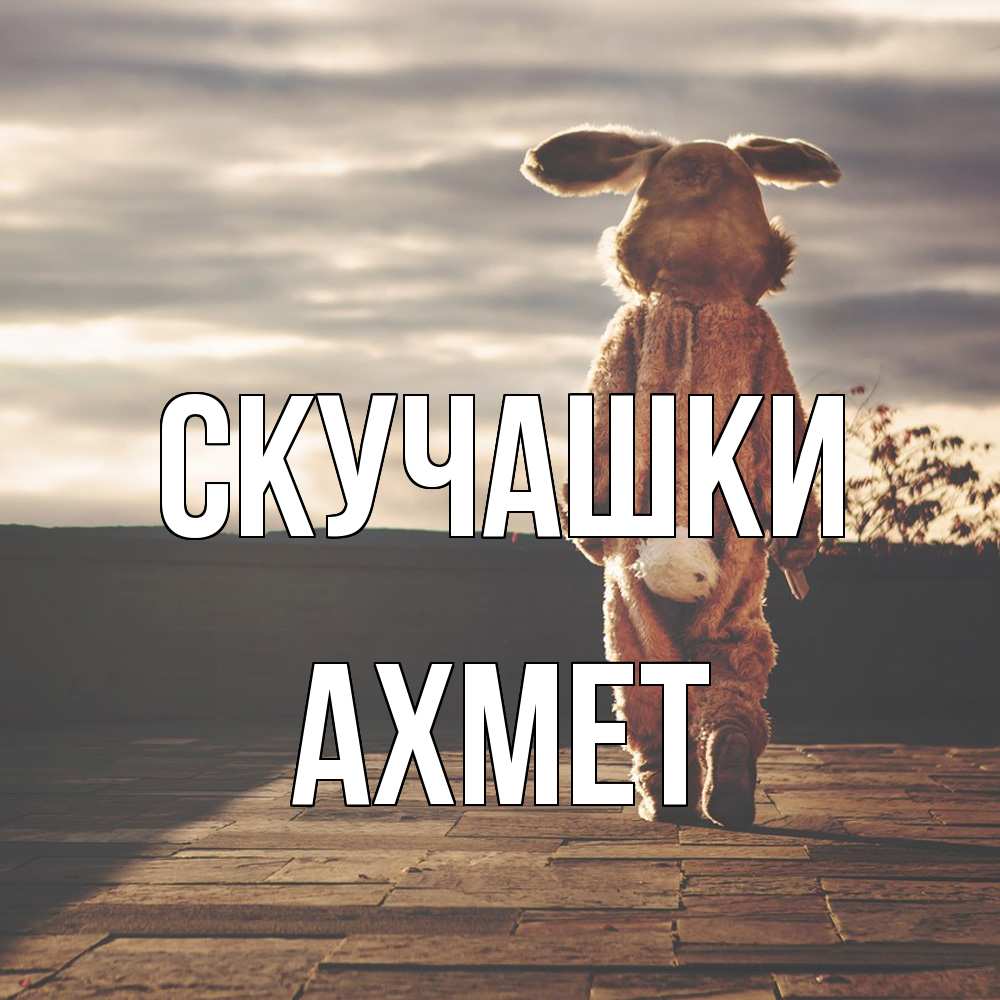 Открытка на каждый день с именем, Ахмет Скучашки даже в костюме зайца Прикольная открытка с пожеланием онлайн скачать бесплатно 