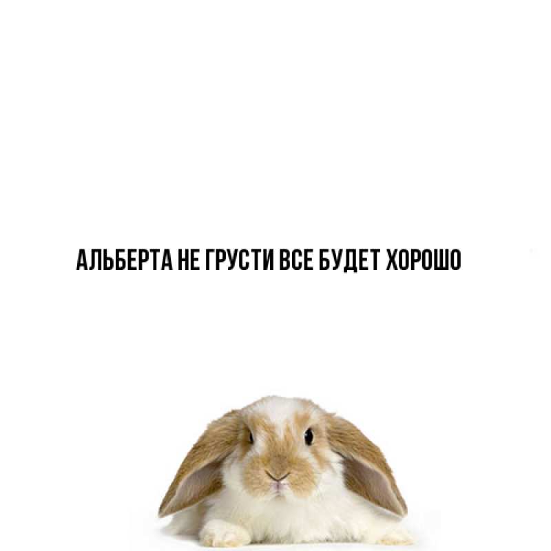 Картинка Не грусти, все будет хорошо, Альберта