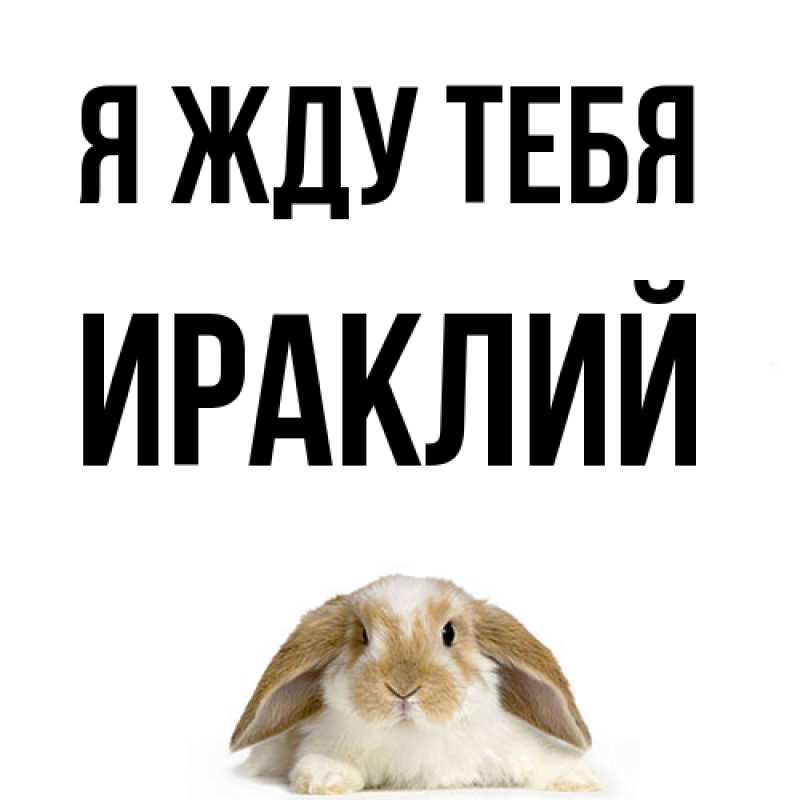 Картинка Я жду тебя, Ираклий