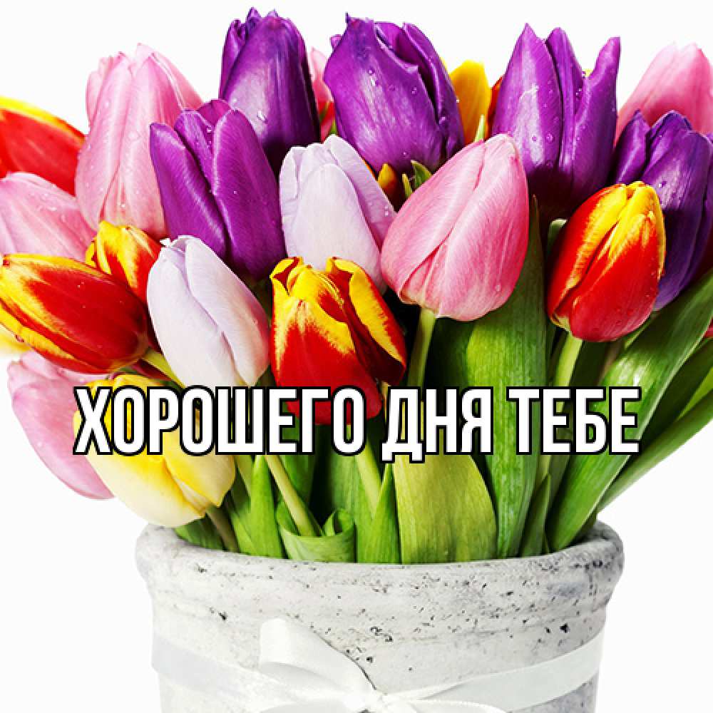 Открытка на каждый день с именем, Родной Люблю тебя букет Прикольная открытка с пожеланием онлайн скачать бесплатно 