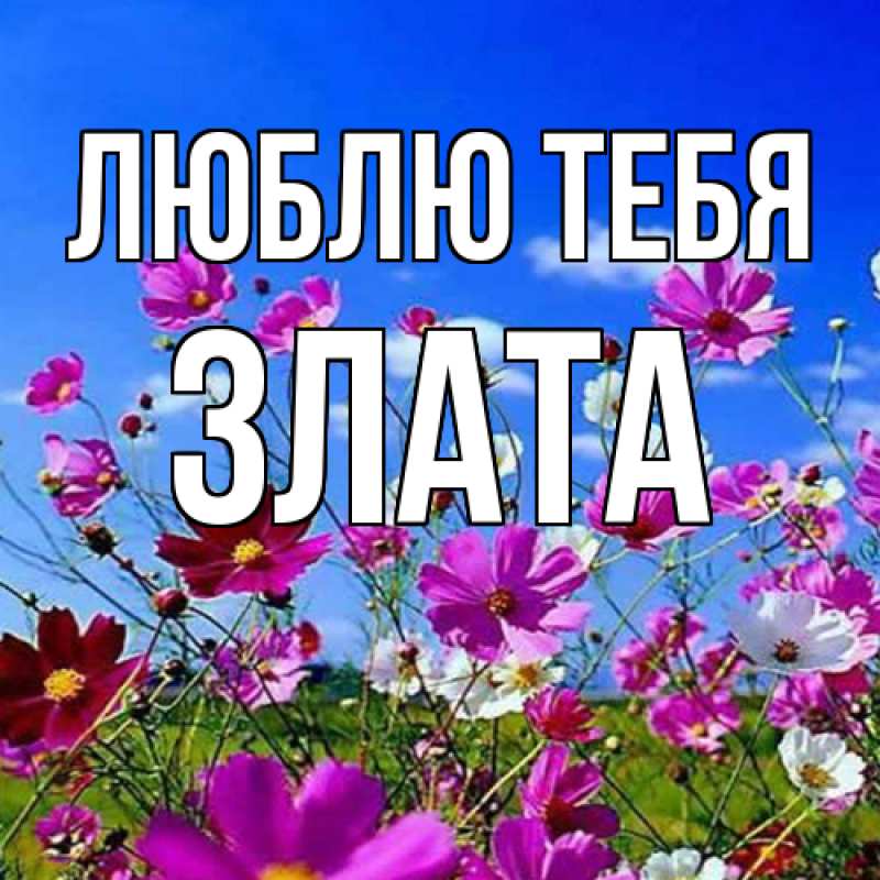 Открытка с именем, Злата, Люблю тебя