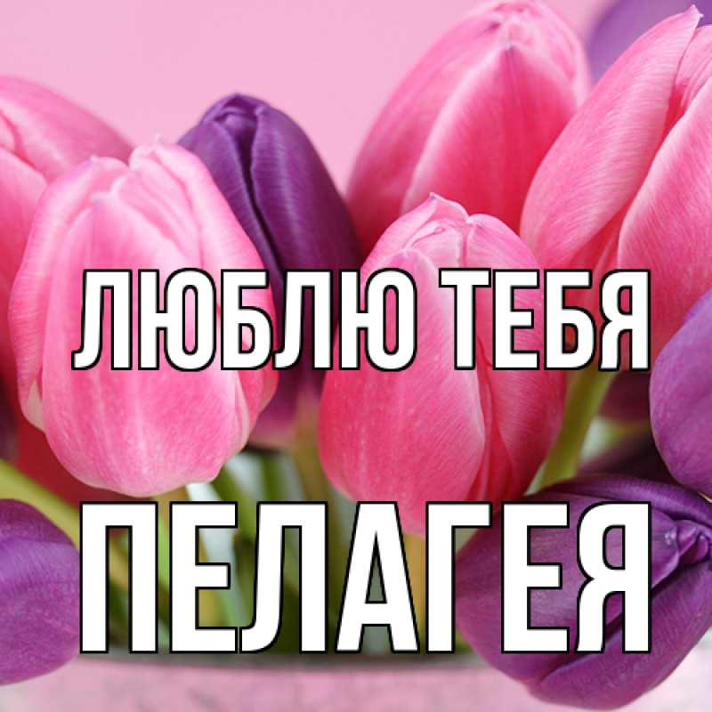 Картинка Люблю тебя, Пелагея