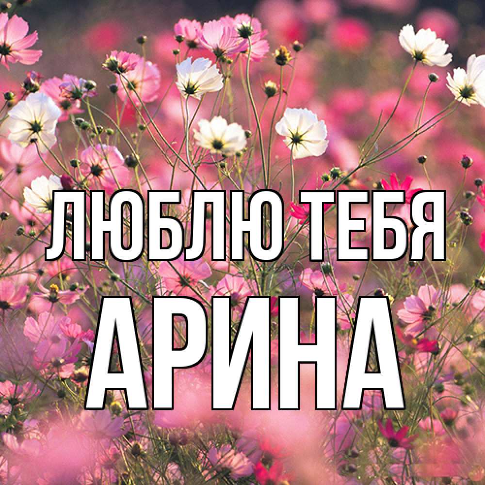 Открытка на каждый день с именем, Арина Люблю тебя красиво 1 Прикольная открытка с пожеланием онлайн скачать бесплатно 