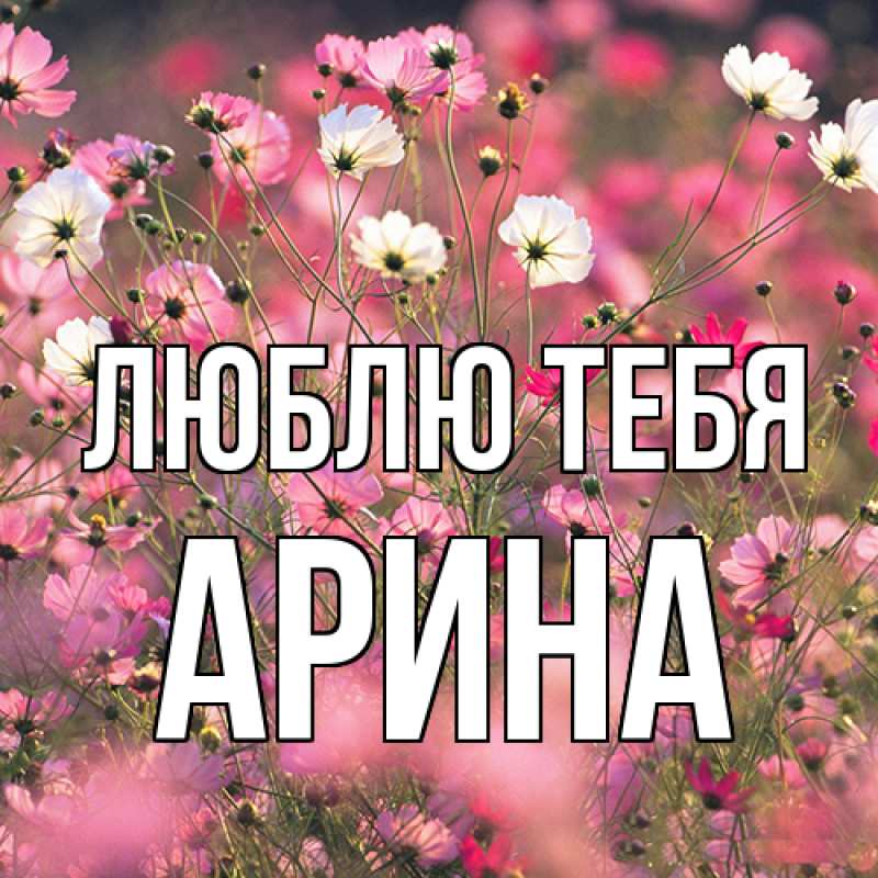 Картинка Люблю тебя, Арина