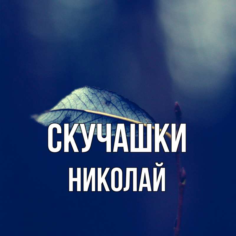 Картинка Скучашки, Николай