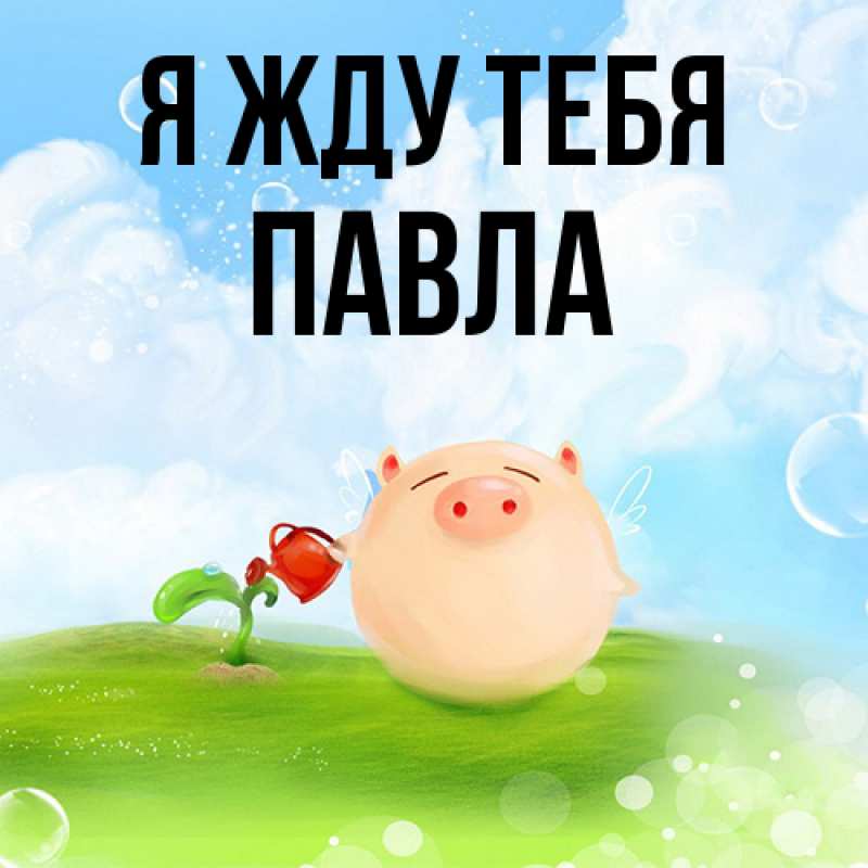 Картинка Я жду тебя, Павла