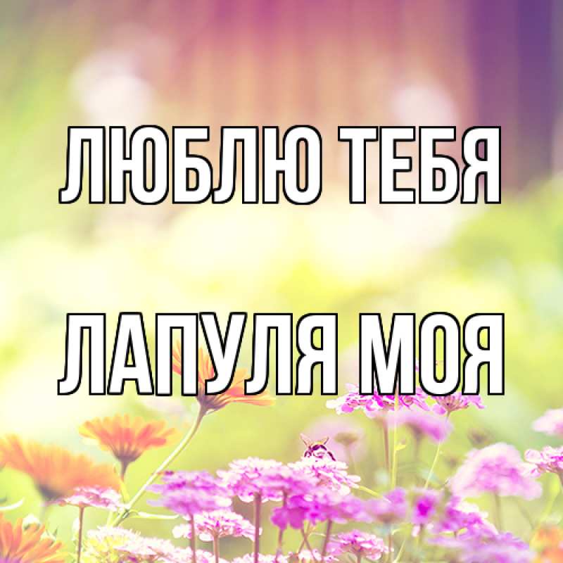 Картинка Люблю тебя, Лапуля моя