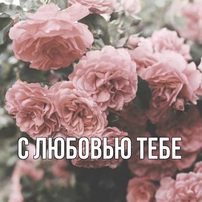 Картинка С любовью тебе, 