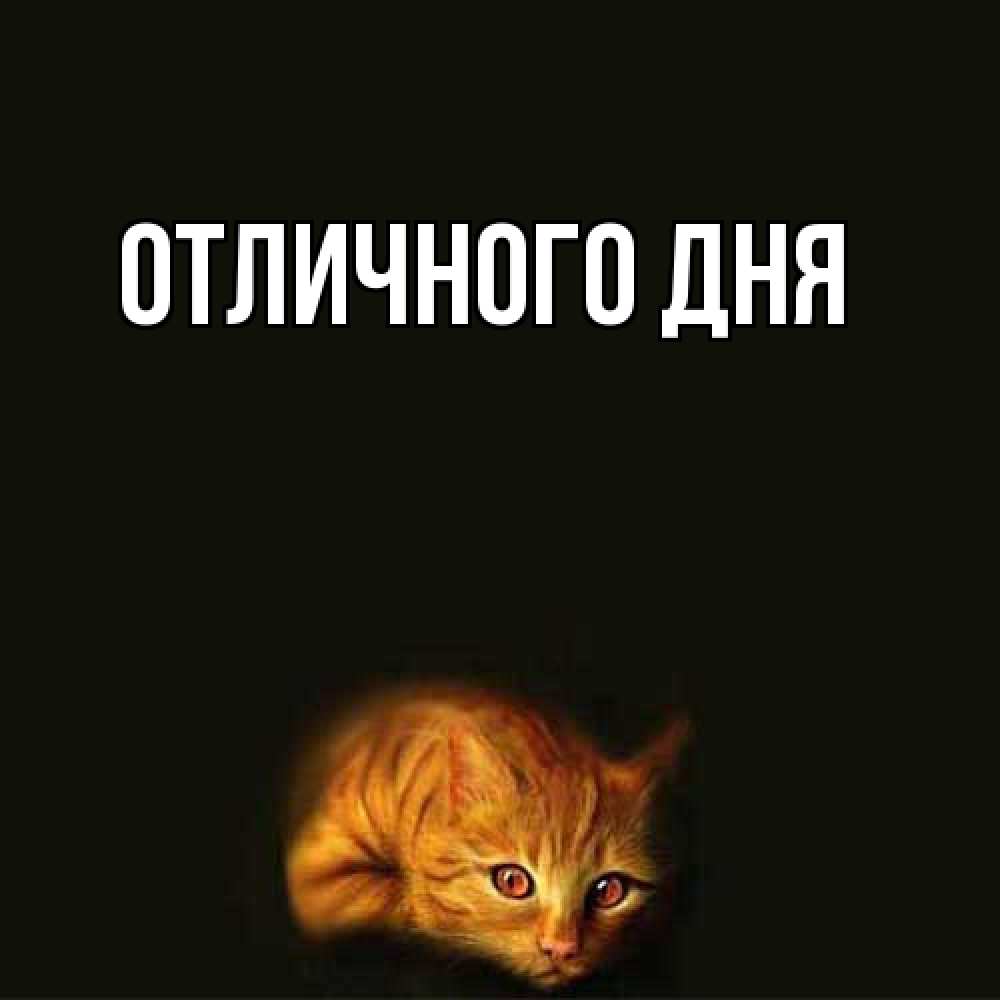 Открытка на каждый день с именем, Ия Я жду тебя рыжий Прикольная открытка с пожеланием онлайн скачать бесплатно 