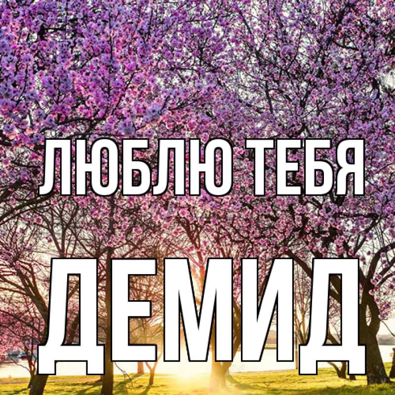 Картинка Люблю тебя, Демид