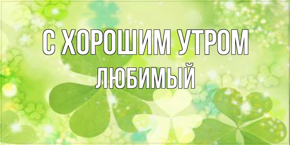 Открытка на каждый день с именем, Любимый С хорошим утром открытка с листьями летними зелеными Прикольная открытка с пожеланием онлайн скачать бесплатно 