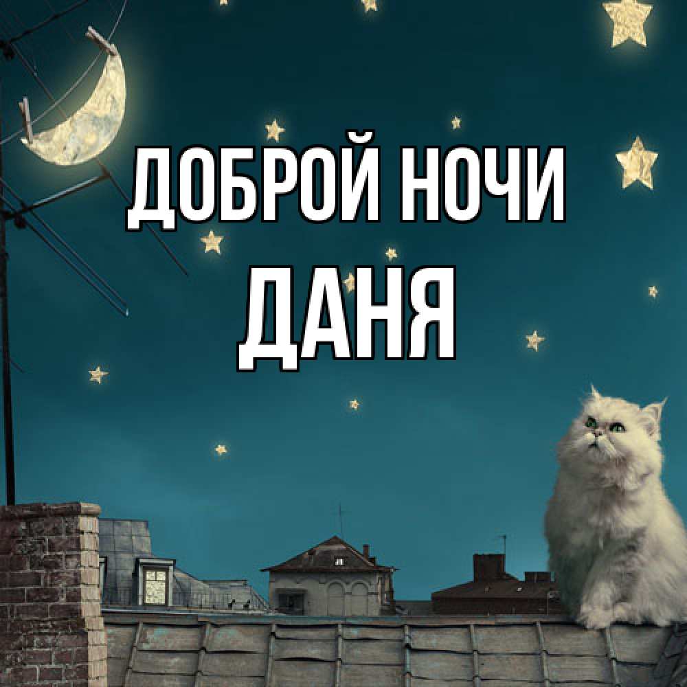 Открытка на каждый день с именем, Даня Доброй ночи белый кот сидит на крыше Прикольная открытка с пожеланием онлайн скачать бесплатно 