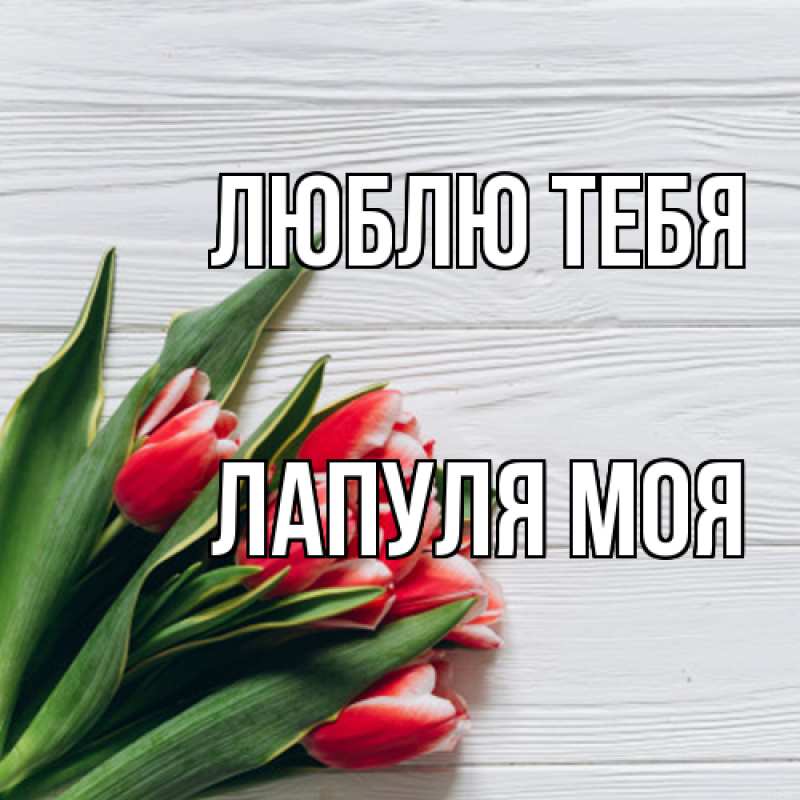 Картинка Люблю тебя, Лапуля моя